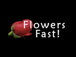 Flowers Fast Com-Send Flowers Same Day Delivery