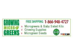 Growingmicrogreens Gifts Flowers Home Garden